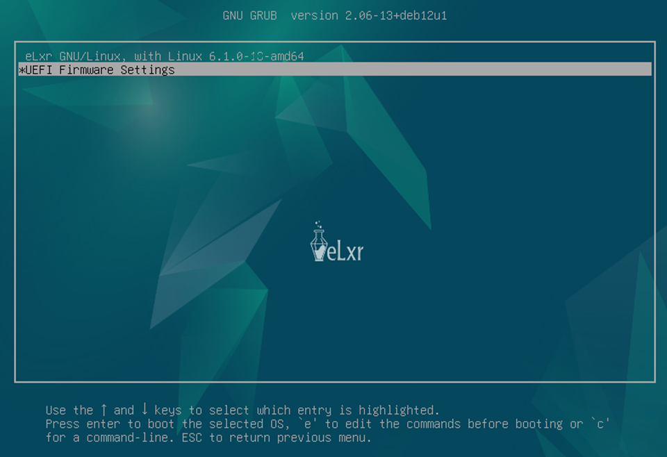 ../_images/select-uefi-firmware-settings-on-boot.png